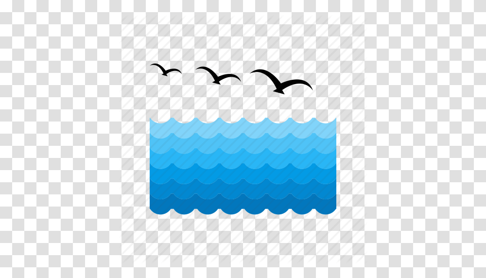 Bird Birds Flock Nature Sky Water Wildlife Icon, Label, Outdoors Transparent Png