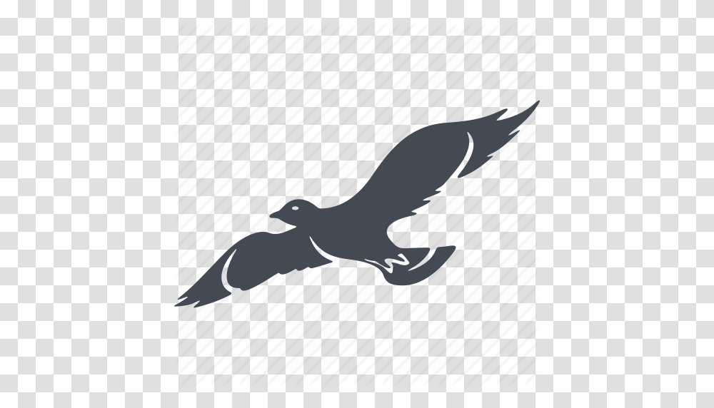 Bird Birds Nature Wings Icon, Animal, Silhouette, Sea Life, Fish Transparent Png