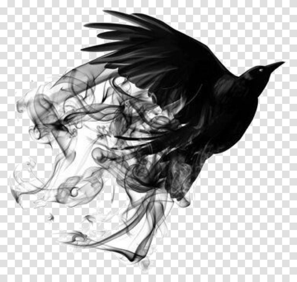 Bird Black Smoke Bird, Art, Graphics, Person, Human Transparent Png