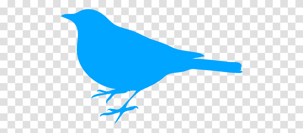 Bird Blue Beak Clip Art, Animal, Finch, Canary Transparent Png