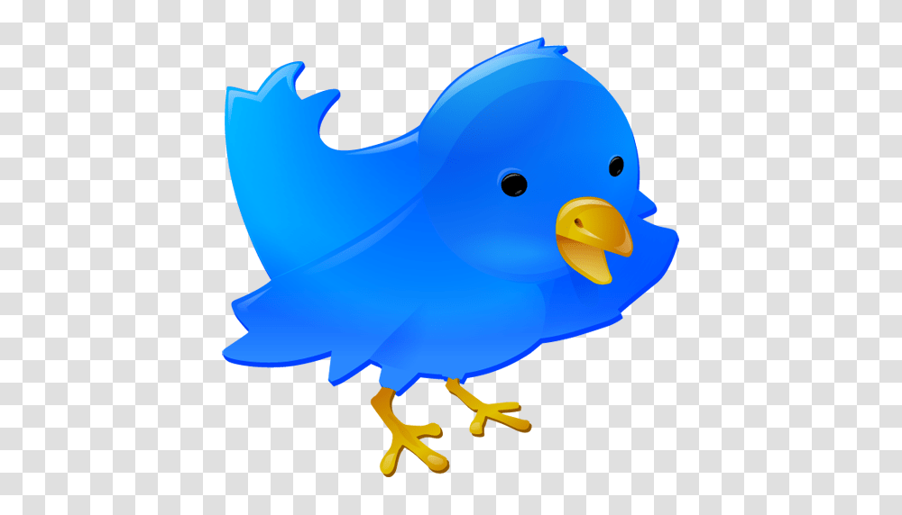 Bird Blue Bird Like Logo Marketing Network Online Retweet, Shark, Sea Life, Fish, Animal Transparent Png