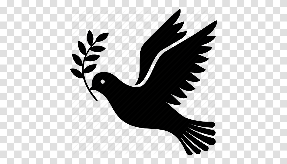 Bird Branch Dove Flying Olive Peace Icon, Piano, Leisure Activities, Furniture Transparent Png