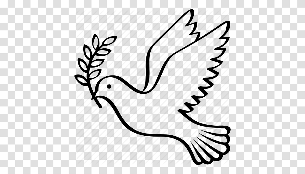Bird Branch Dove Flying Olive Peace Symbol Icon, Tree, Plant, Outdoors Transparent Png