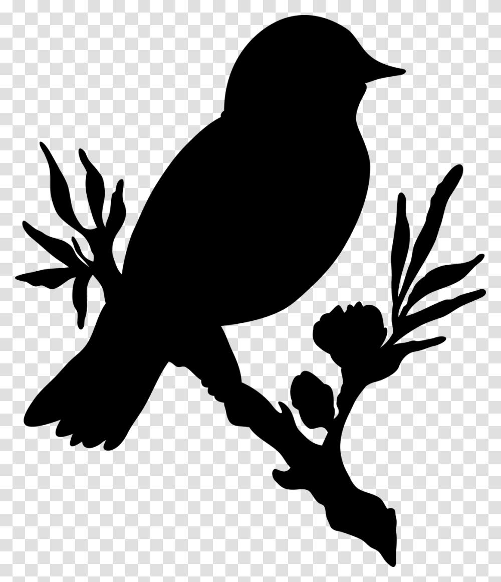 Bird Branch Flower Free Picture Silhouette Bird On Branch, Gray, World Of Warcraft Transparent Png