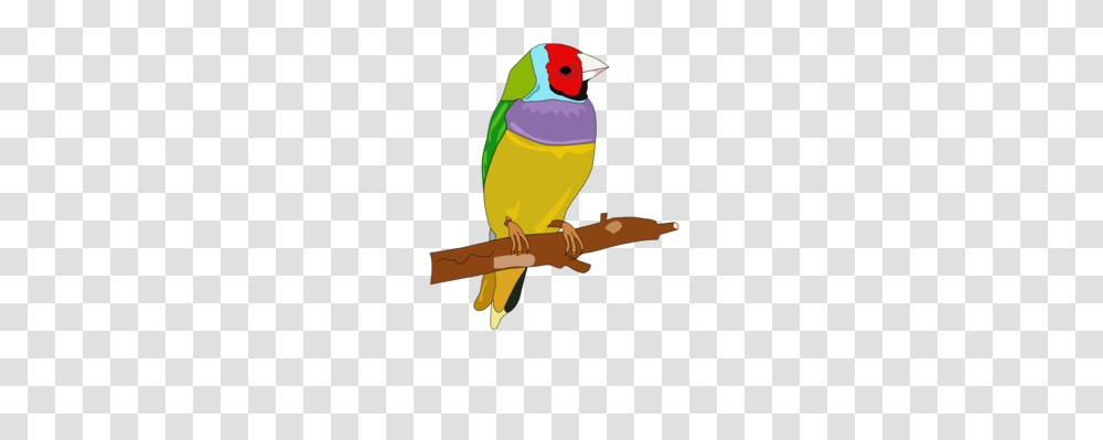 Bird Brown Parrotbill Passerine Reed Parrotbill Beak Free, Animal, Guitar, Leisure Activities, Musical Instrument Transparent Png