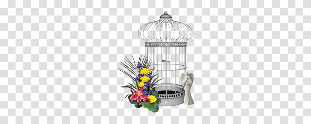Bird Cage Religion, Trophy, Plant, Jar Transparent Png