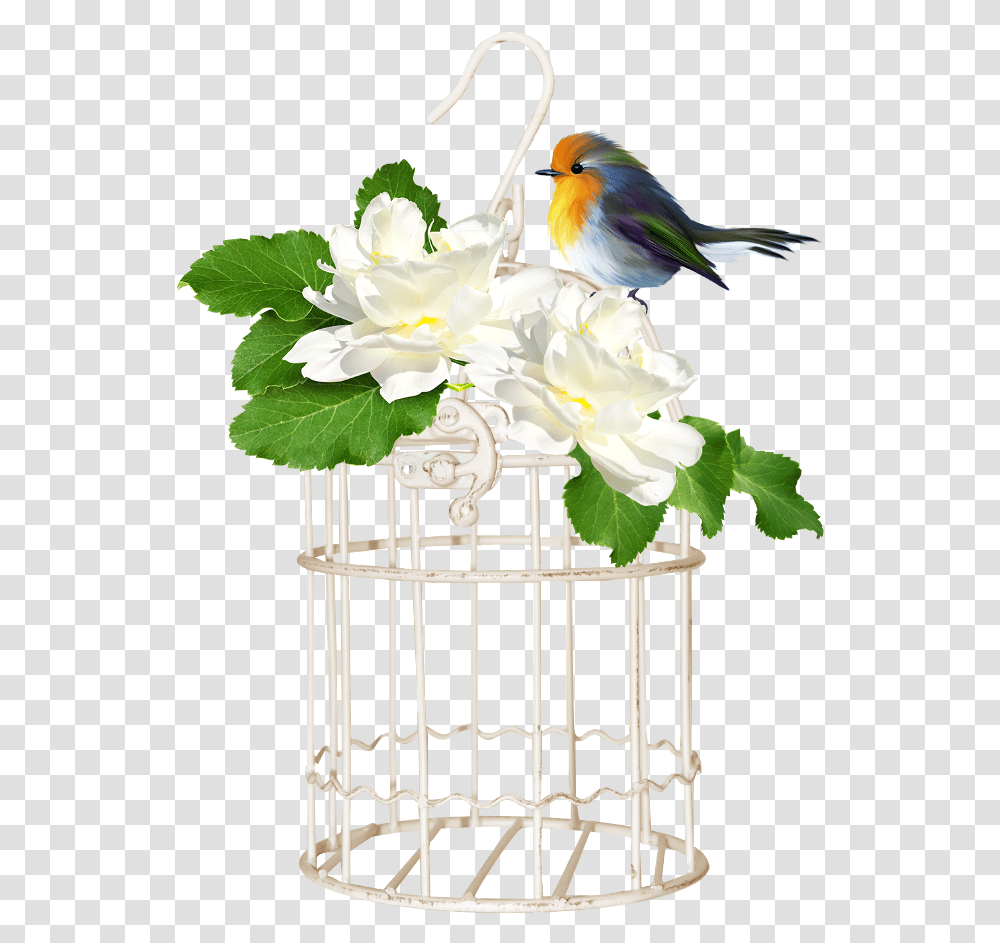 Bird Cage Cage 650x950 Clipart Download, Animal, Flower, Plant, Blossom Transparent Png