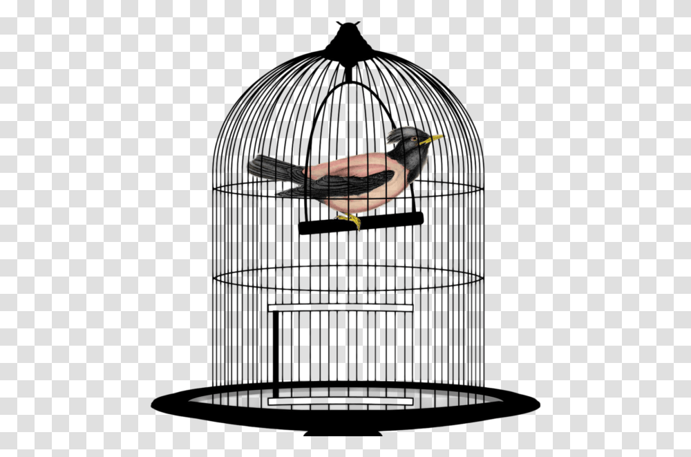 Bird Cage Image Bird In Cage, Gate, Animal Transparent Png