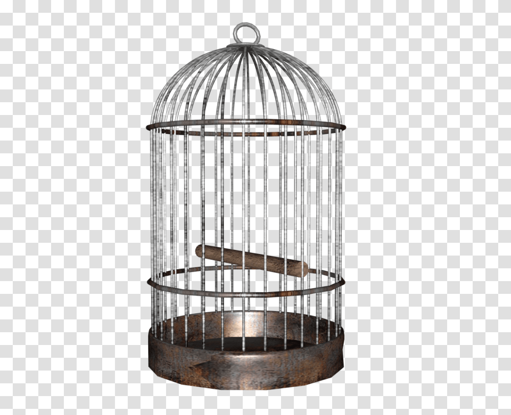 Bird Cage Image Purepng Free Cc0 The Cafe, Tabletop, Furniture, Home Decor, Clothing Transparent Png