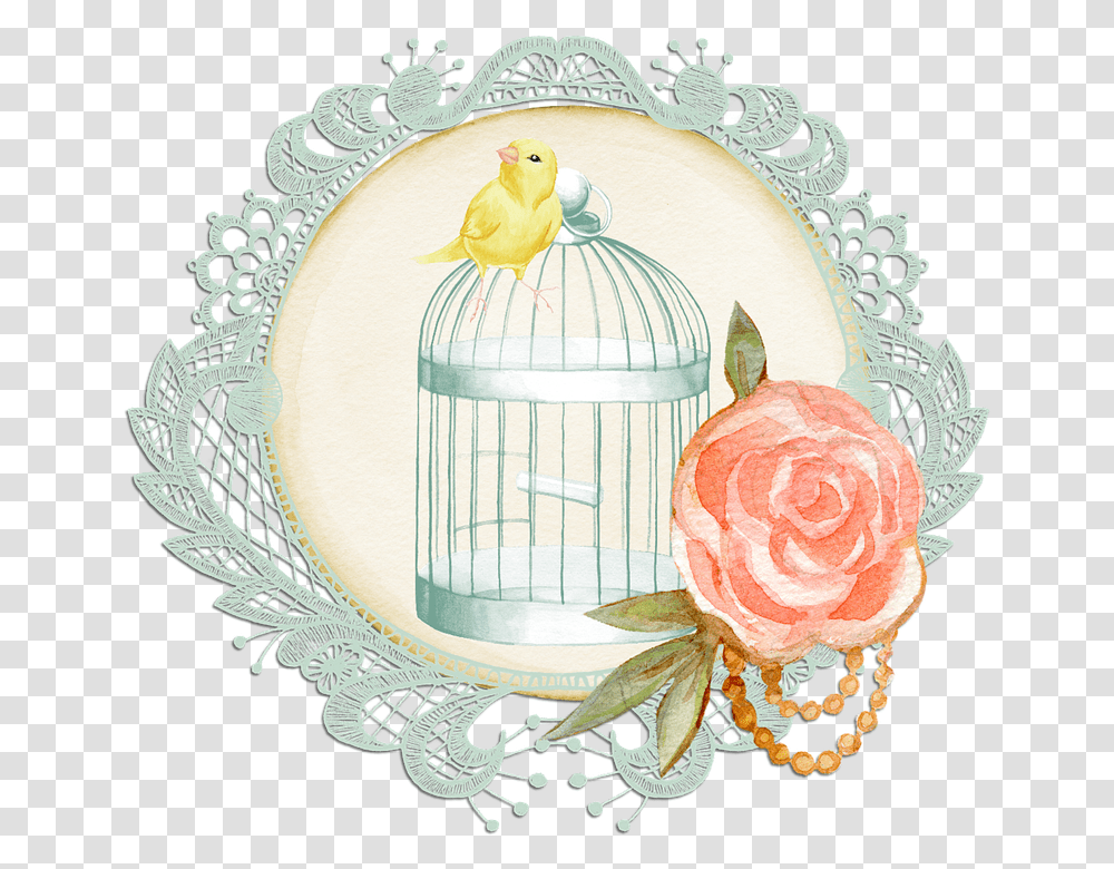 Bird Cage Rose Free Image On Pixabay Decorative, Lace, Painting, Art, Plant Transparent Png