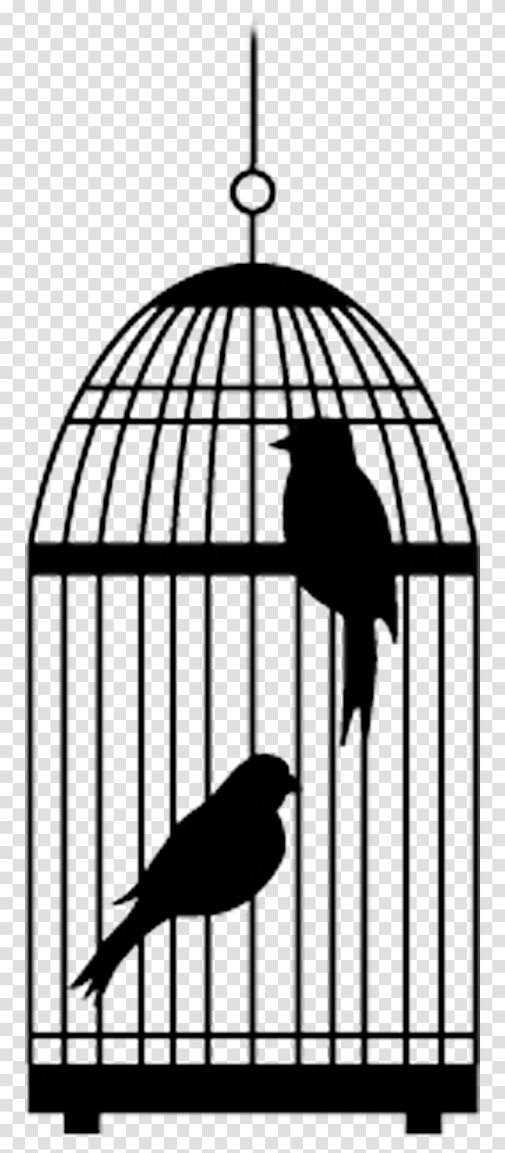 Bird Cage With Two Birds Cartoons Cage Clipart Bird In A Cage Background, Gate, Prison, Grille, Silhouette Transparent Png
