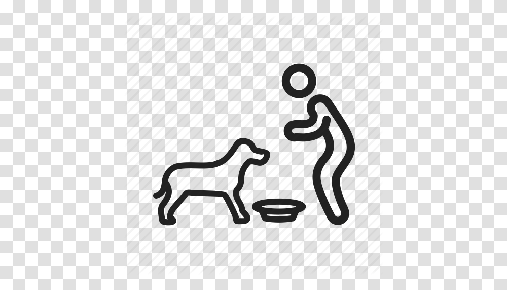 Bird Care Dog Eating Feeding Person Pet Icon, Alphabet, Sphere Transparent Png