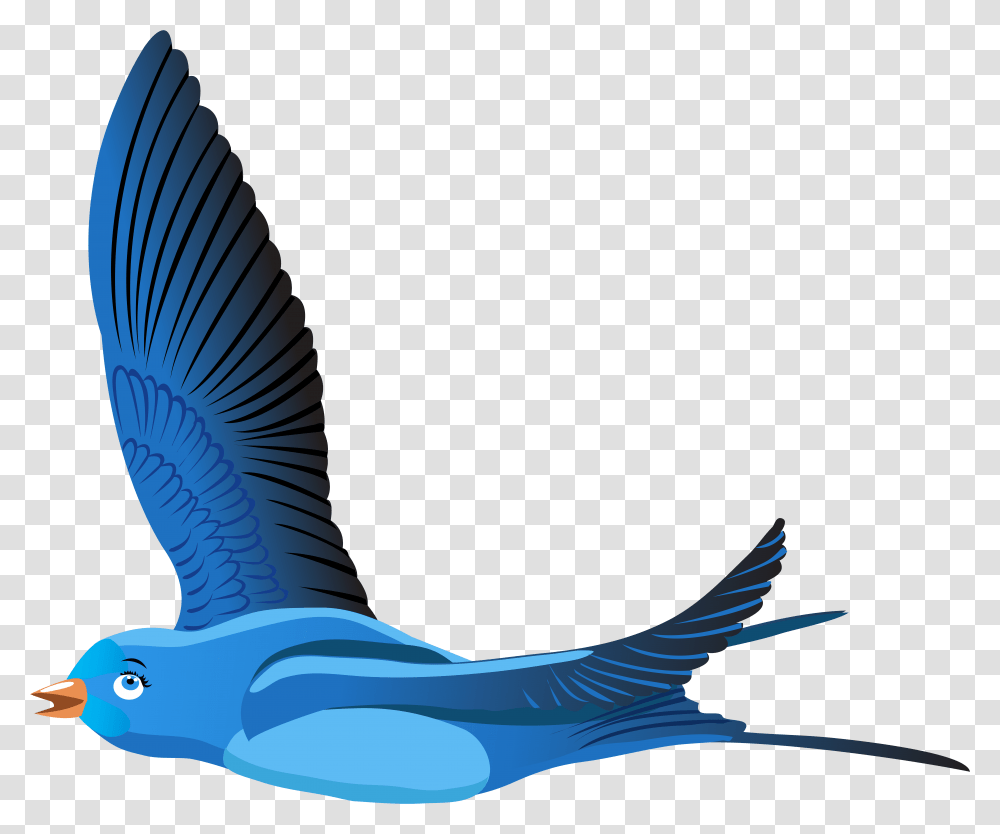 Bird Cartoon Clipart, Jay, Animal, Flying, Blue Jay Transparent Png