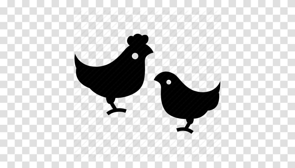 Bird Chicken Domestic Bird Easter Farm Hen Poultry Icon, Piano, Leisure Activities, Musical Instrument, Silhouette Transparent Png