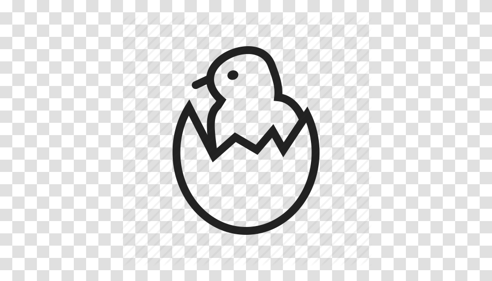 Bird Chicken Egg Eggs Hatch Hatched Shell Icon, Handbag, Accessories, Accessory, Purse Transparent Png