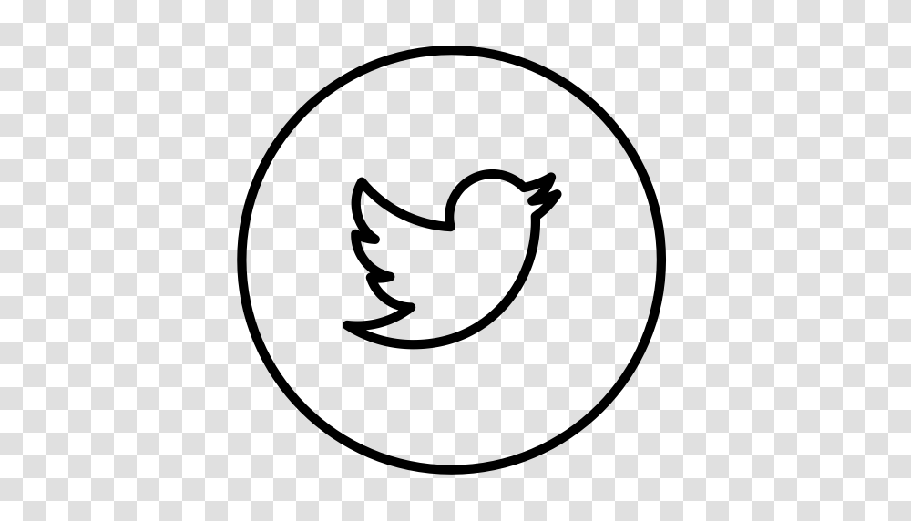 Bird Circles Line Neon Social Tweet Twitter Icon, Gray, World Of Warcraft Transparent Png