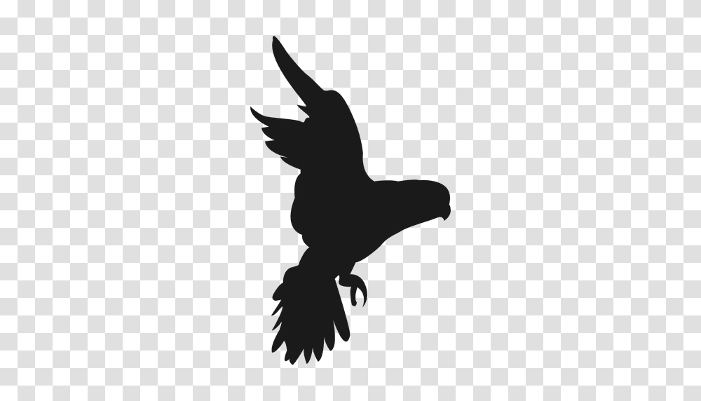 Bird Claw Bird Claw Images, Silhouette, Animal, Flying, Mammal Transparent Png