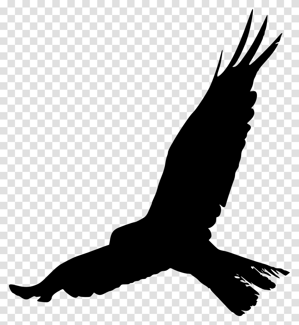 Bird Claw Bird Claw Images, Silhouette, Stencil, Person, Human Transparent Png
