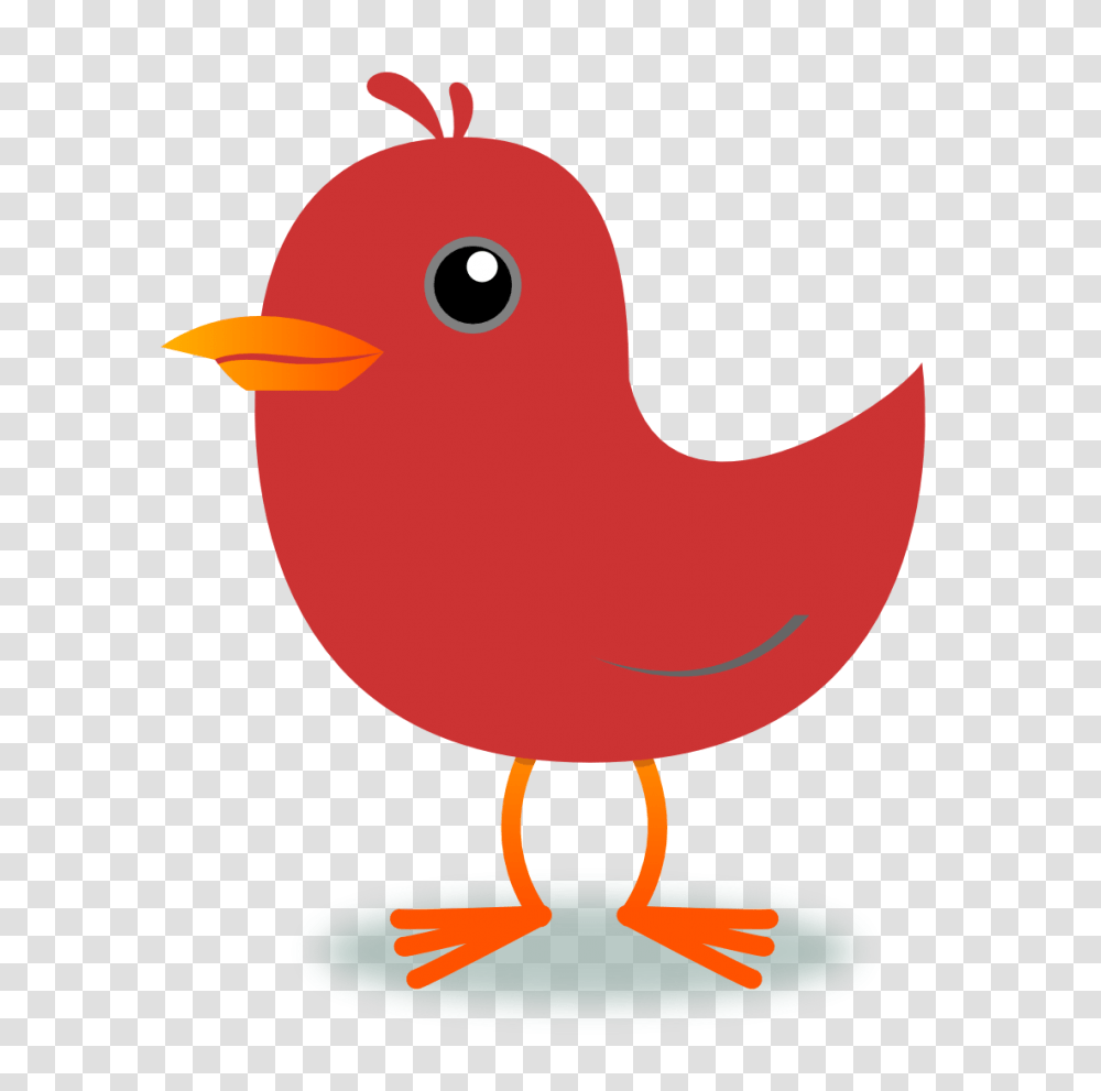 Bird Clip Art, Animal, Beak, Finch Transparent Png