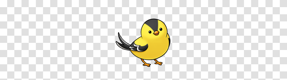 Bird Clip Art, Animal, Canary, Finch Transparent Png