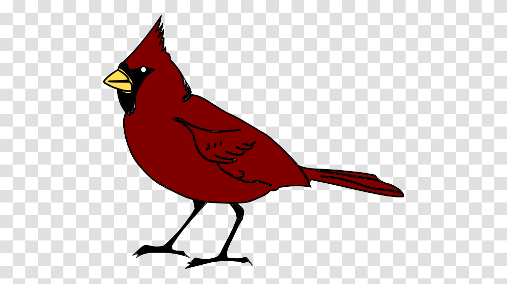 Bird Clip Art, Animal, Cardinal, Jay Transparent Png