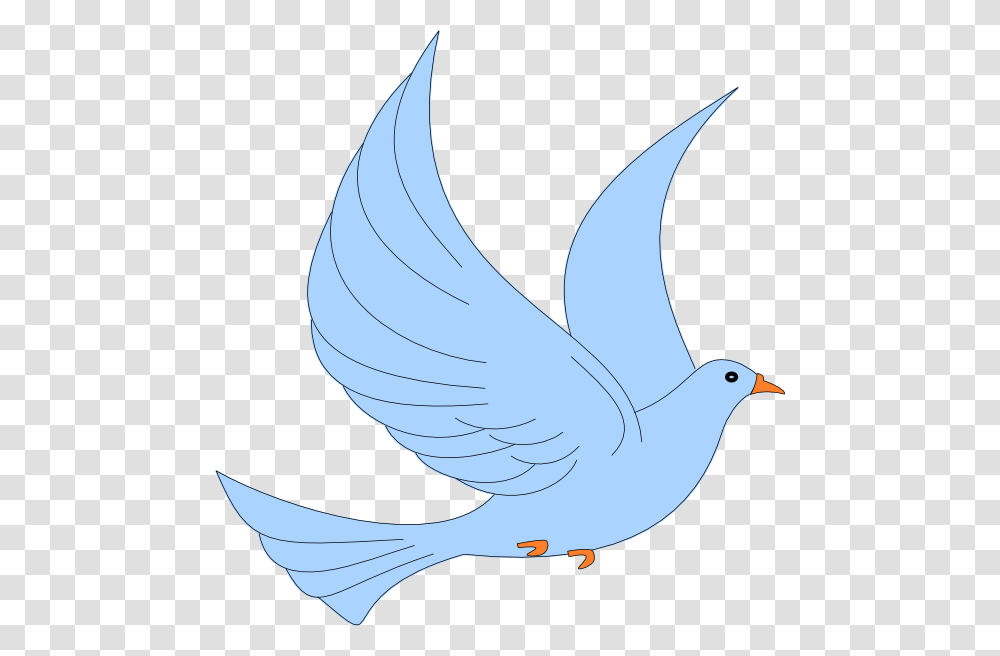 Bird Clip Art, Animal, Dove, Pigeon, Shark Transparent Png