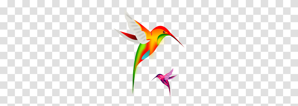 Bird Clip Art, Animal, Hummingbird, Flying, Light Transparent Png