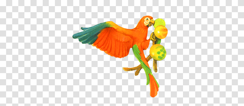 Bird Clip Art, Animal, Parrot, Macaw, Flying Transparent Png