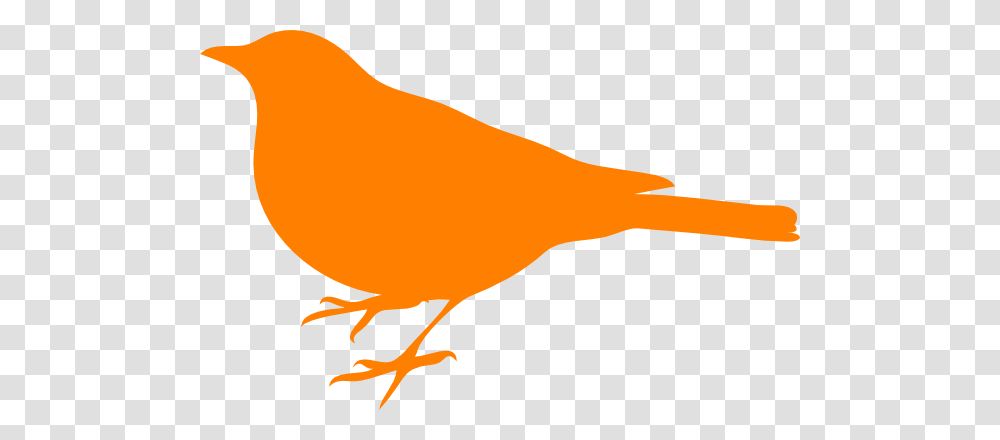 Bird Clip Art, Canary, Animal, Finch Transparent Png