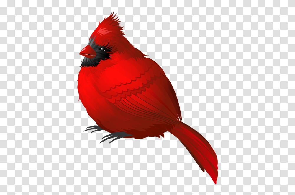 Bird Clip Art Printable Birds Watercolor Bird Illustration, Animal, Cardinal, Jay Transparent Png