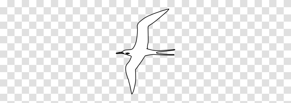 Bird Clip Art, Silhouette, Stencil, Animal, Seagull Transparent Png