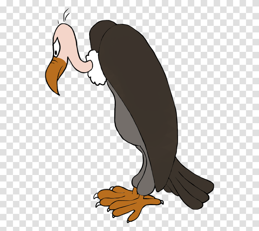 Bird Clip Art Vulture Clipart, Animal, Penguin, Person, Human Transparent Png