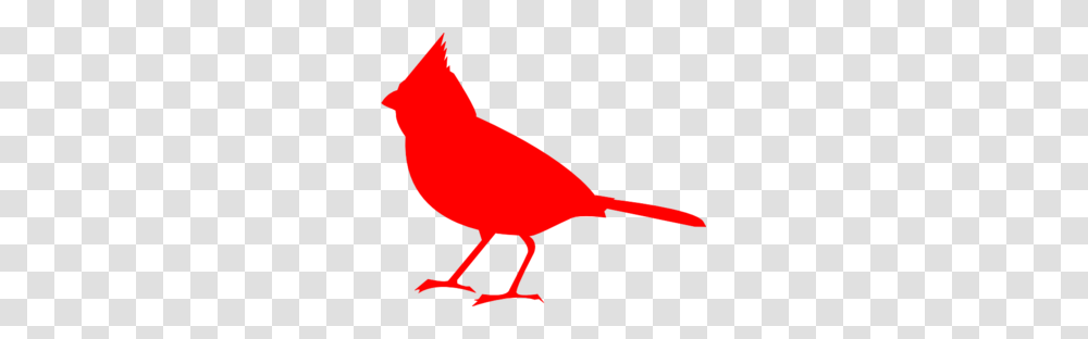 Bird Clip Arts, Animal, Cardinal, Finch, Person Transparent Png