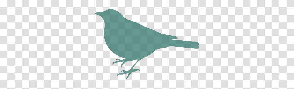 Bird Clip Arts, Animal, Person, Human, Finch Transparent Png