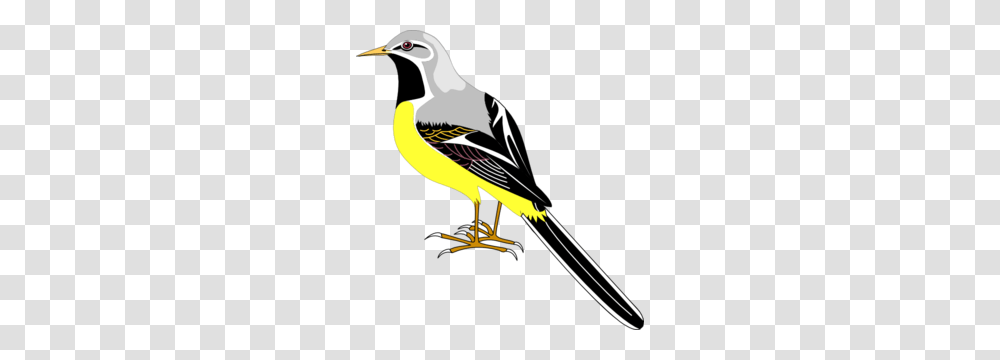 Bird Clip Arts, Beak, Animal, Bow, Outdoors Transparent Png