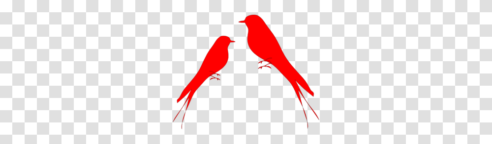 Bird Clip Arts, Finch, Animal, Cardinal Transparent Png