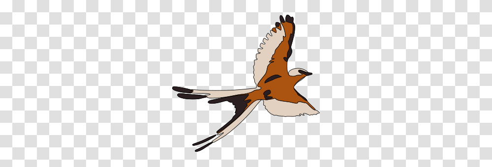 Bird Clip Arts For Web, Flying, Animal, Person, Human Transparent Png