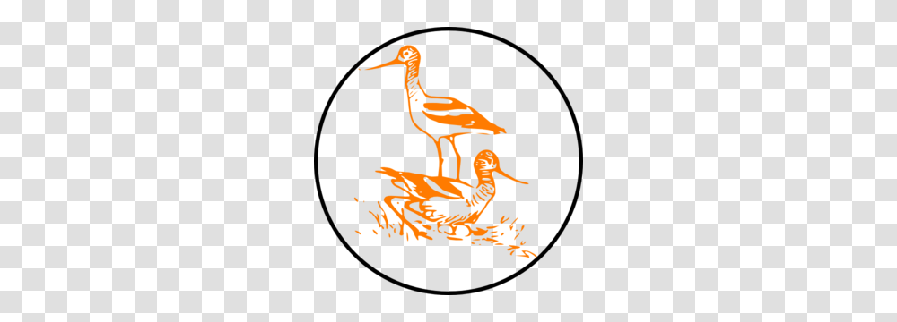 Bird Clip Arts, Stork, Animal, Waterfowl, Crane Bird Transparent Png