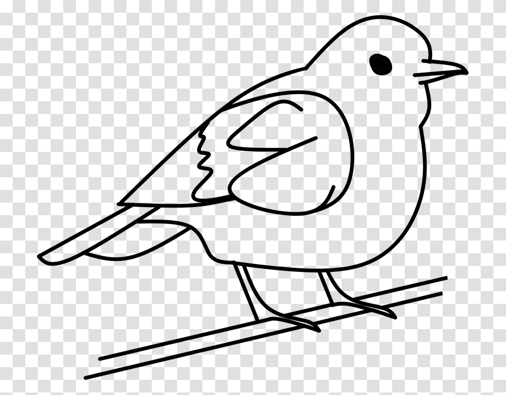 Bird Clip Black And White Coloring Huge Freebie Download, Animal, Silhouette, Flying, Blackbird Transparent Png