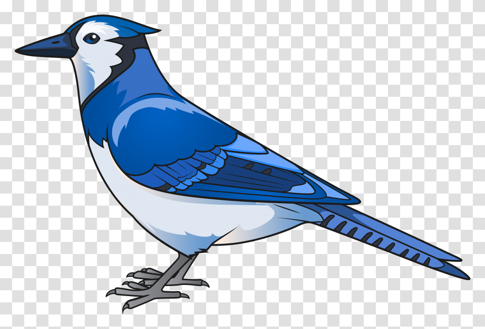 Bird Clip Clipart Blue Jay, Animal, Airplane, Aircraft, Vehicle Transparent Png