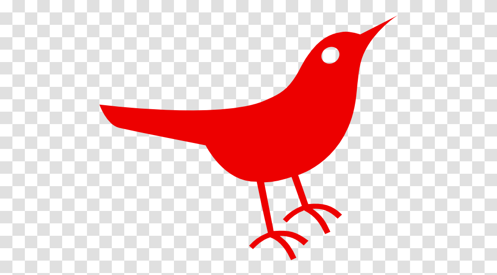 Bird Clipart 2 Image Scarlet Ibis Clipart, Animal, Finch, Cardinal, Canary Transparent Png