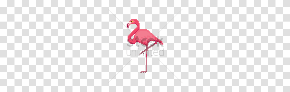 Bird Clipart, Animal, Flamingo, Leisure Activities Transparent Png