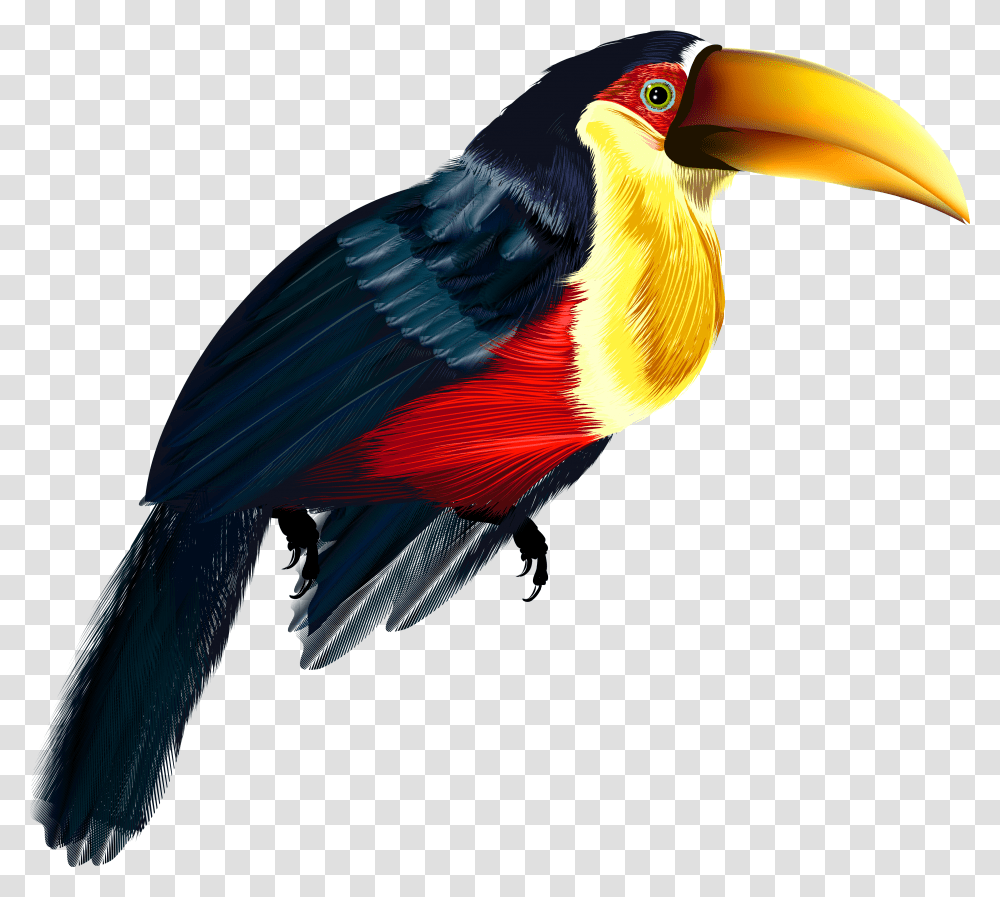 Bird Clipart Background Sitting Bird Background Toucan Clipart Transparent Png