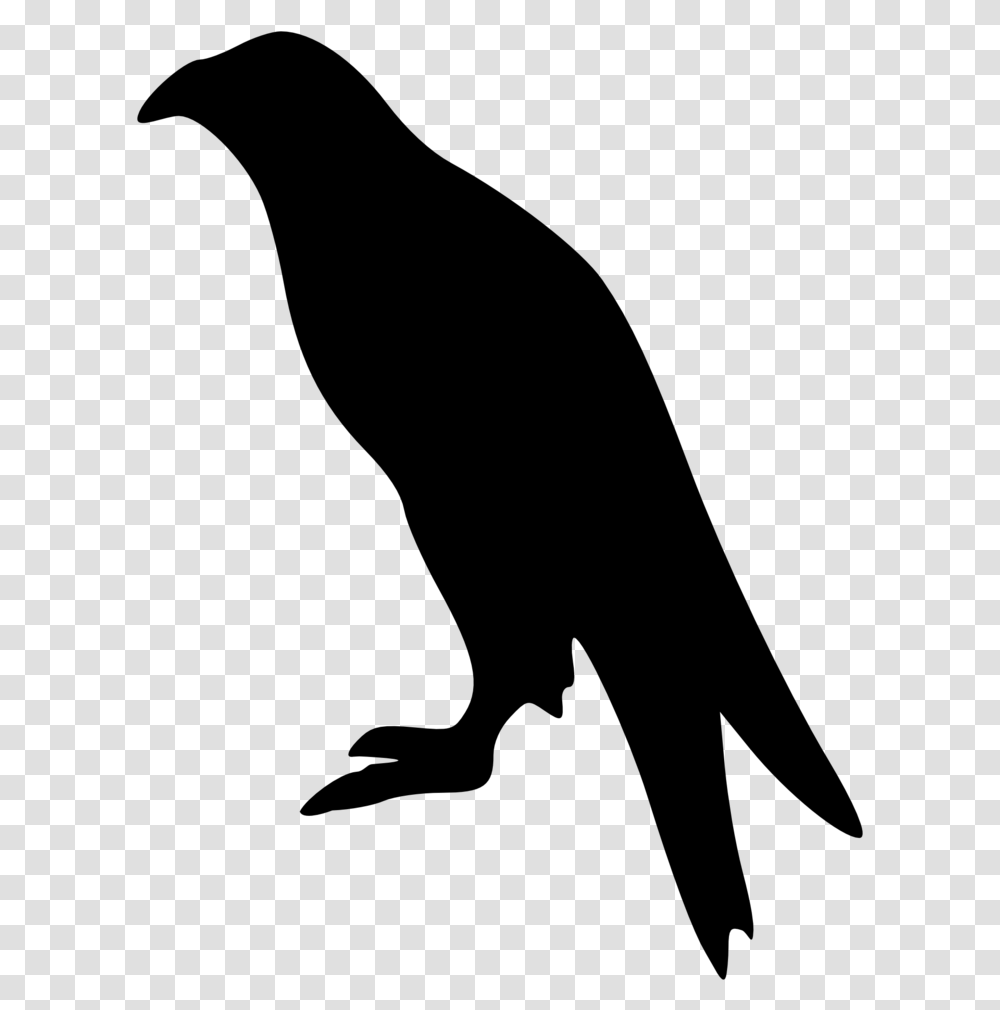 Bird Clipart Bald Eagle Bird Eagle Silhouette, Gray Transparent Png