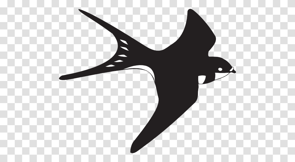 Bird Clipart Black And White Nice Clip Art, Fish, Animal, Sea Life, Shark Transparent Png