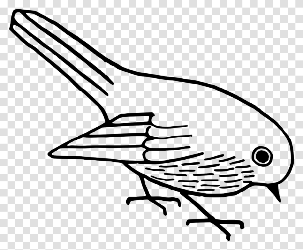 Bird Clipart Black And White Winging, Gray, World Of Warcraft Transparent Png