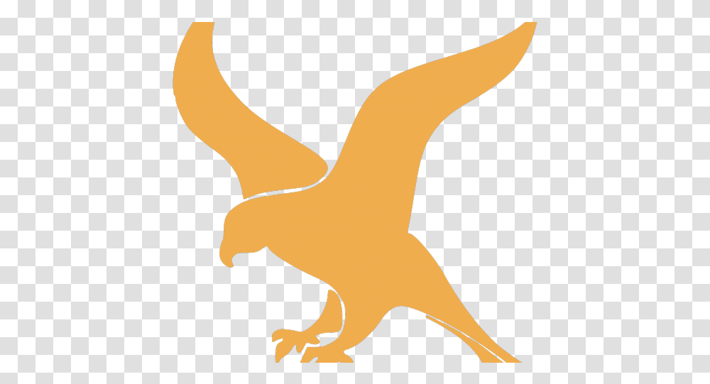 Bird Clipart Falcons Minimalist Falcon Download Falcon Python Logo, Animal, Mammal, Eagle Transparent Png