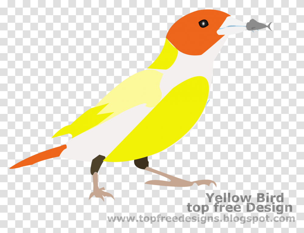 Bird Clipart Finch, Animal, Canary Transparent Png