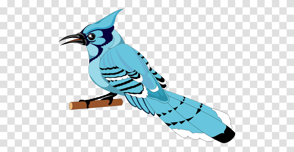 Bird Clipart For Web, Jay, Animal, Blue Jay Transparent Png