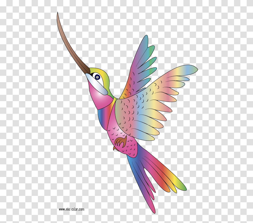 Bird Clipart Raster Coloring Colibri, Animal, Floral Design, Pattern Transparent Png
